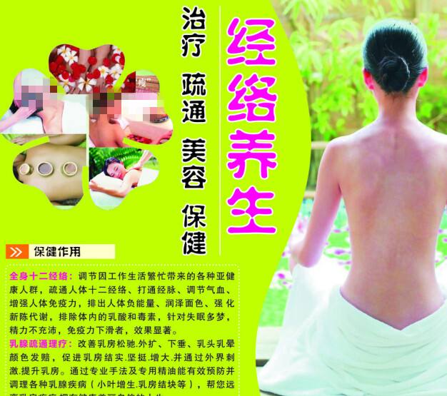 购买荷兰新版驾照多少钱